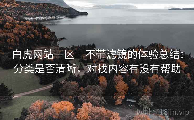 白虎网站一区|不带滤镜的体验总结:分类是否清晰,对找内容有没有帮助