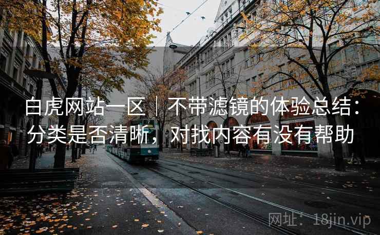 白虎网站一区｜不带滤镜的体验总结：分类是否清晰，对找内容有没有帮助