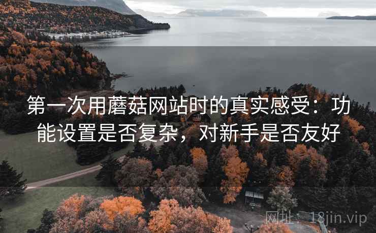 第一次用蘑菇网站时的真实感受:功能设置是否复杂,对新手是否友好