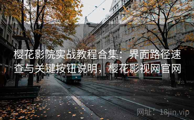 樱花影院实战教程合集：界面路径速查与关键按钮说明，樱花影视网官网