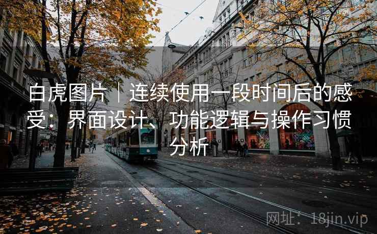 白虎图片|连续使用一段时间后的感受:界面设计、功能逻辑与操作习惯分析