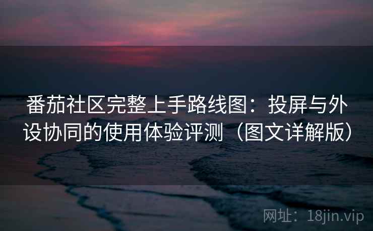 番茄社区完整上手路线图:投屏与外设协同的使用体验评测(图文详解版)