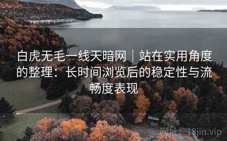 白虎无毛一线天暗网|站在实用角度的整理:长时间浏览后的稳定性与流畅度表现