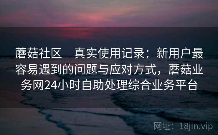蘑菇社区｜真实使用记录：新用户最容易遇到的问题与应对方式，蘑菇业务网24小时自助处理综合业务平台