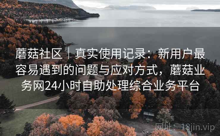 蘑菇社区|真实使用记录:新用户最容易遇到的问题与应对方式,蘑菇业务网24小时自助处理综合业务平台