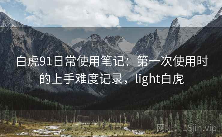 白虎91日常使用笔记：第一次使用时的上手难度记录，light白虎