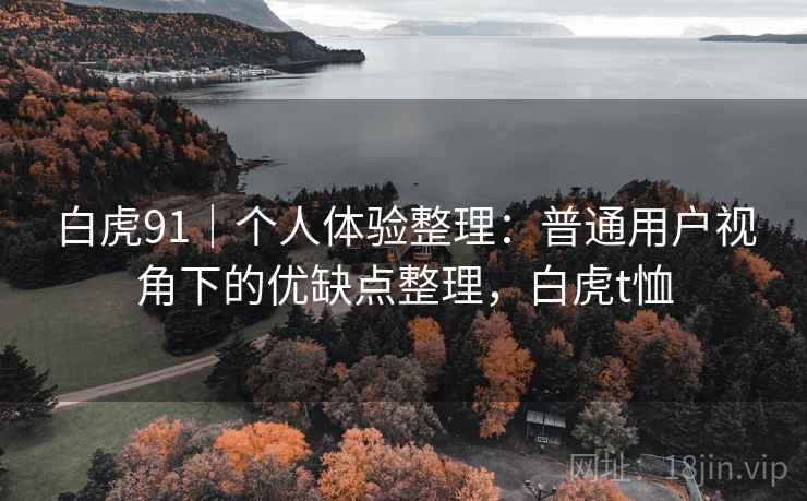 白虎91｜个人体验整理：普通用户视角下的优缺点整理，白虎t恤