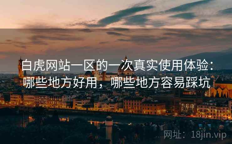 白虎网站一区的一次真实使用体验：哪些地方好用，哪些地方容易踩坑