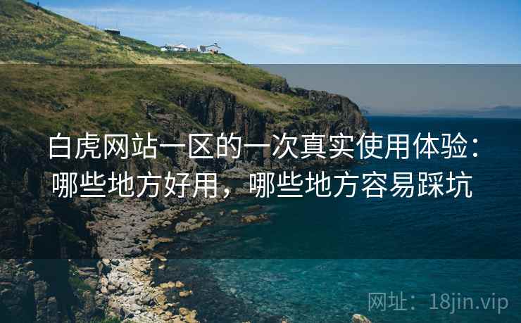 白虎网站一区的一次真实使用体验:哪些地方好用,哪些地方容易踩坑