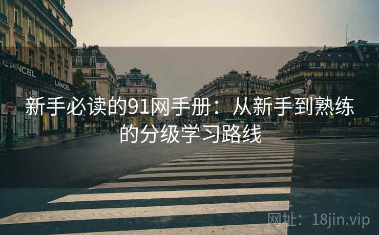 新手必读的91网手册：从新手到熟练的分级学习路线