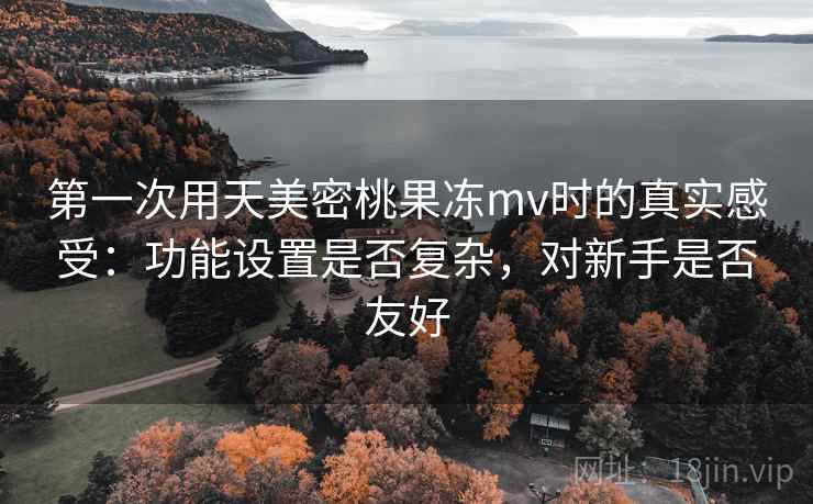 第一次用天美密桃果冻mv时的真实感受:功能设置是否复杂,对新手是否友好