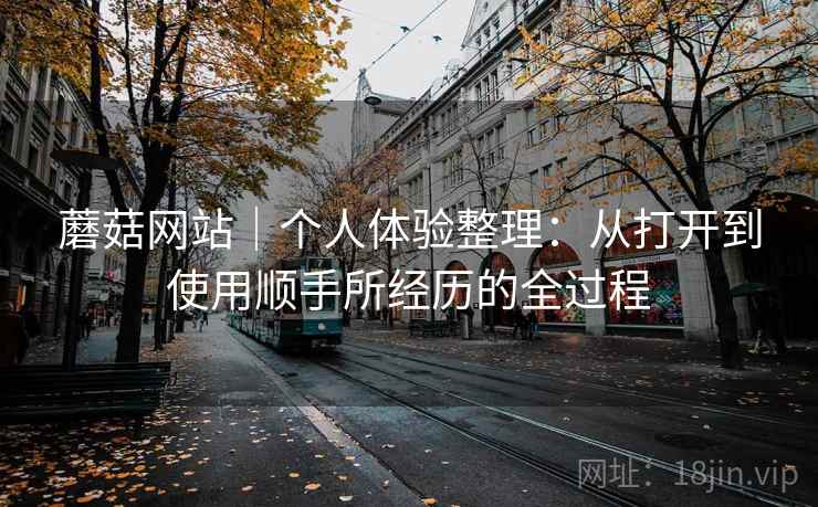 详细阅读:蘑菇网站|个人体验整理:从打开到使用顺手所经历的全过程 蘑菇网站|个人体验整理:从打开到使用顺手所经历的全过程