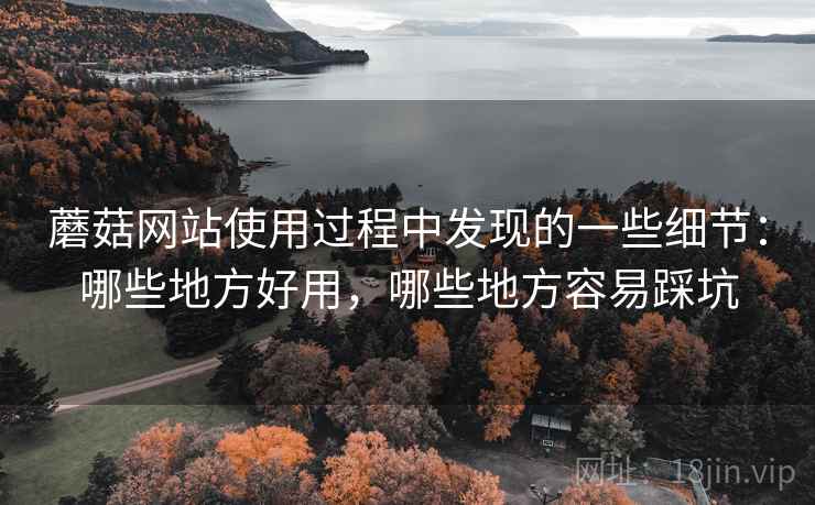 详细阅读:蘑菇网站使用过程中发现的一些细节:哪些地方好用,哪些地方容易踩坑 蘑菇网站使用过程中发现的一些细节:哪些地方好用,哪些地方容易踩坑